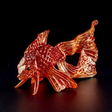 魚壁飾り　スジアラ成魚［額装］訳あり　在庫現品のみ❗️ 楽天市場】魚看板（インテリア・寝具・収納）の通販