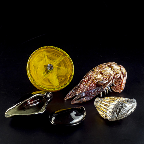 Pino Signoretto エビ | 全ての商品 | 黒壁公式オンラインショップ